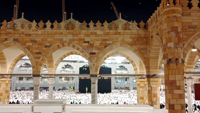 Абабиль құстары. Птицы Абабиль