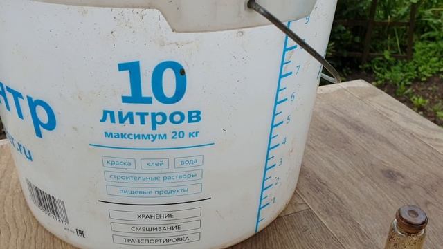 Урожай Клубники будет ФАНТАСТИЧЕСКИЙ ЕСЛИ СДЕЛАТЬ ЭТО! смотреть онлайн