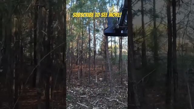 Thinning the trees like a excavator hero смотреть онлайн