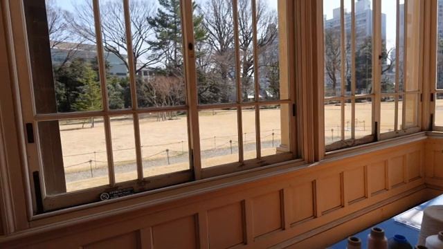【御徒町･上野】徒歩で巡る観光スポット3選✨歴史と文化と春を楽しむ☺湯島天満宮│旧岩崎邸庭園│上野公園 смотреть онлайн