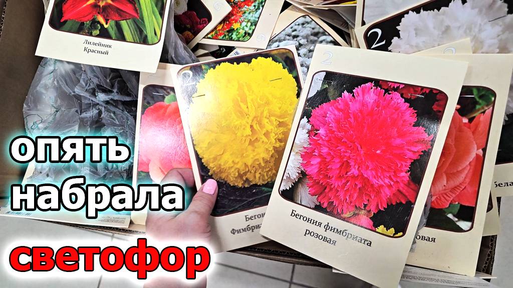 Магазин Светофор в апреле полон новинок.Чего только нет.Цветами завалили.Как устоять и не набрать смотреть онлайн