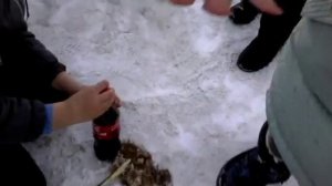 эксперимент Coca Cola + Mentos