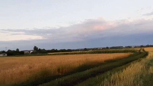 Как на дрожжах растёт/Он выжил/Про жизнь в деревне смотреть онлайн