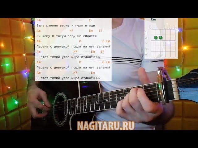 Дворовая, красивая, простая - "НЕЗАБУДКИ". Легкие аккорды, кавер, разбор, на гитаре смотреть онлайн