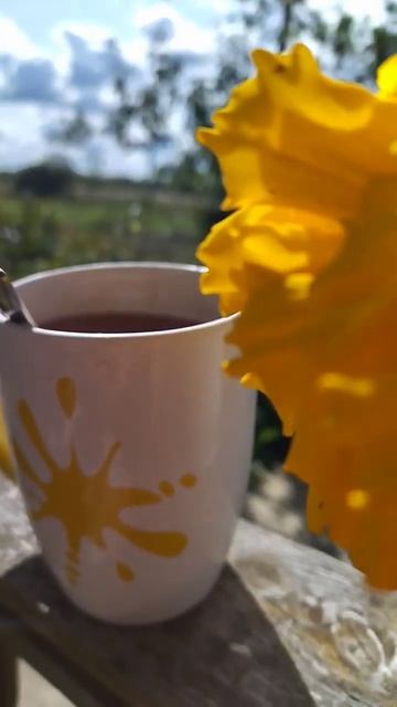 чай с лимонным базиликом - это волшебно- утра ! смотреть онлайн