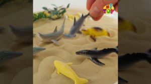 T10496 Морские 5см8шт