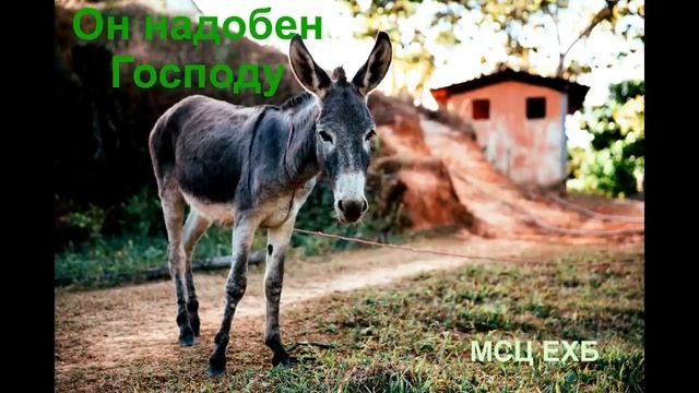 Он надобен Господу П А Дудников МСЦ ЕХБ ПРОПОВЕДЬ 2020 смотреть онлайн