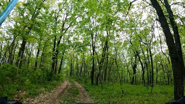 Кросс-кантри марафон XCM "Матч городов России" 2023. Разделка. День 1. На электро. смотреть онлайн