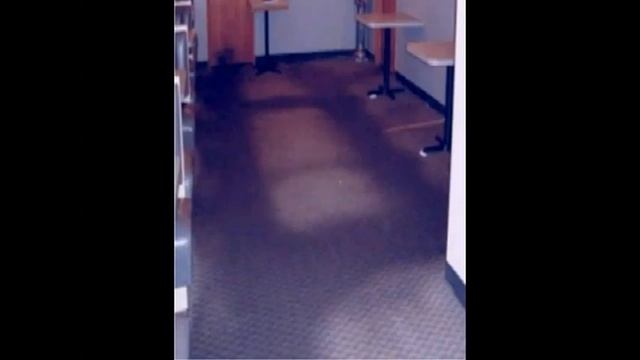 Professional Tile Grout Cleaning San Diego Carpet Cleaning Linoleum Vinyl Cleaning смотреть онлайн