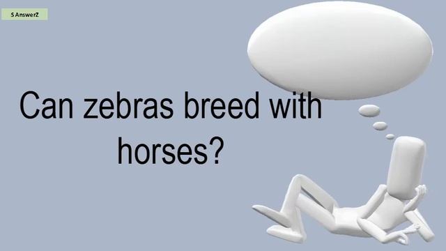 Can Zebras Breed With Horses? смотреть онлайн