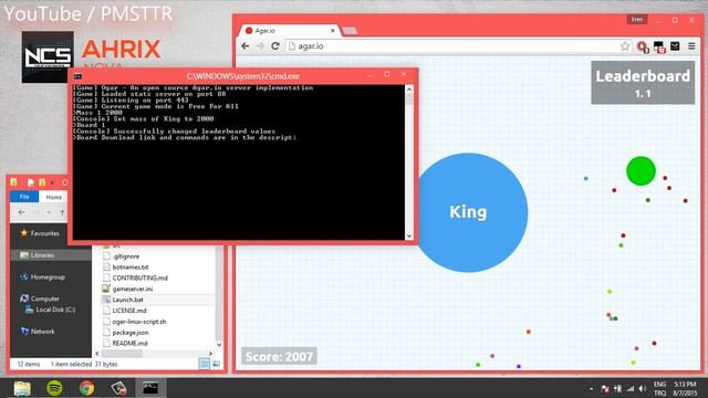 How to Create Agar.io Private Server? Download + Commands смотреть онлайн