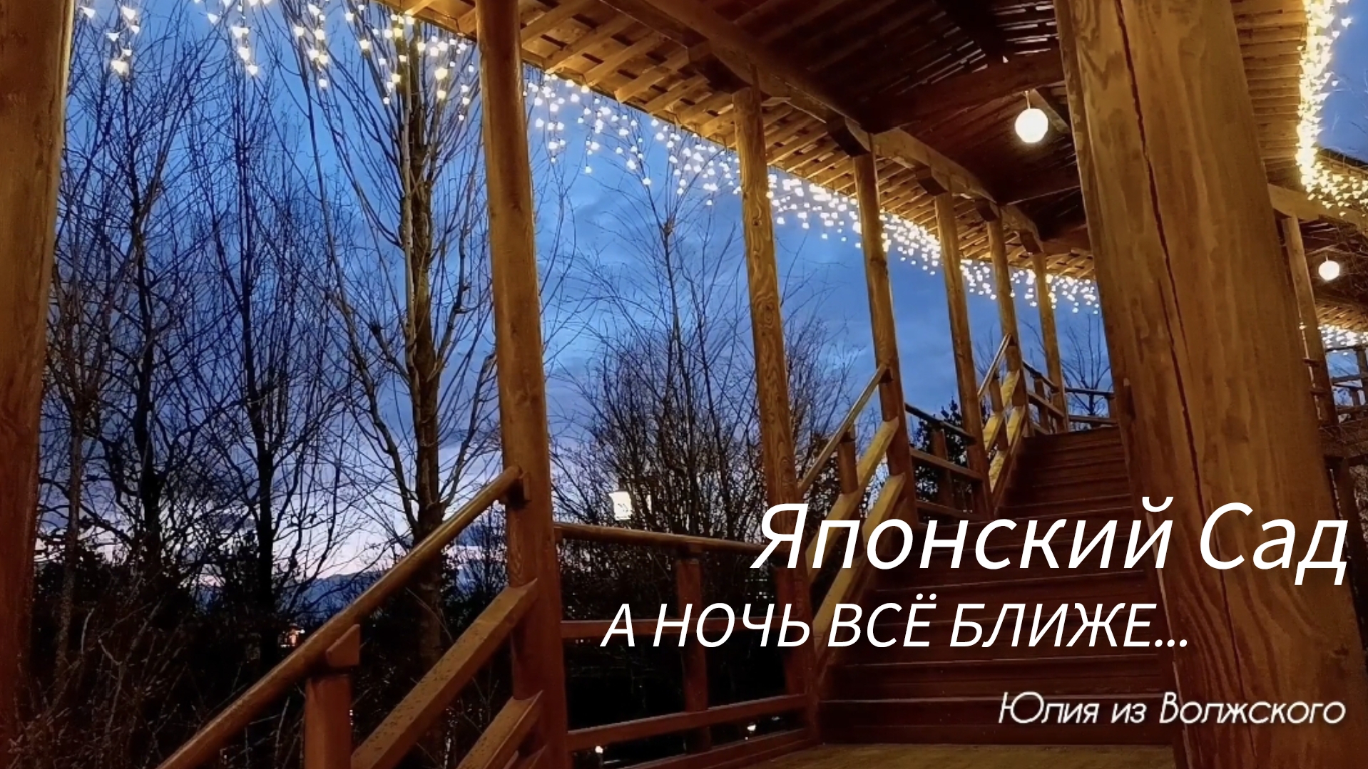 Парк Галицкого. Вечерние огни в Японском Саду 🔸 смотреть онлайн