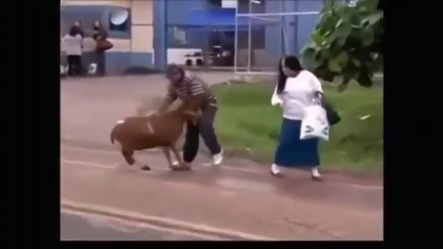 Не с тем связался смотреть онлайн