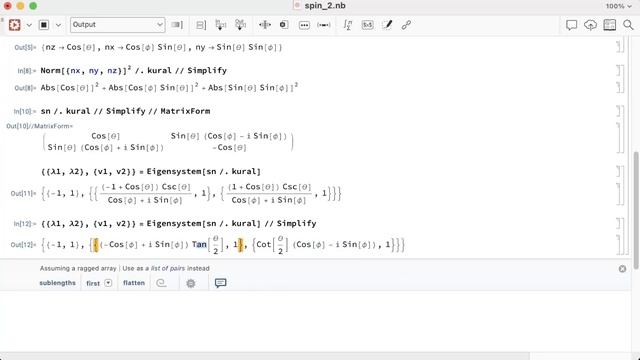Wolfram Mathematica Fizik Dersleri: Spin 1/2 Parçacık - 2.Bölüm