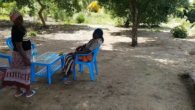 128. Африка Кения Ламу. День 3 у тёщи на даче, валим деревья.