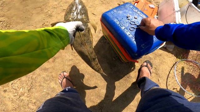 Red Sea Fishing Spot Al Hino Beach "Yanbu Cement Plant" | Most Beautiful Fishing Spot смотреть онлайн