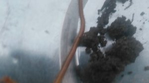 VID_20250414_185450.mp4