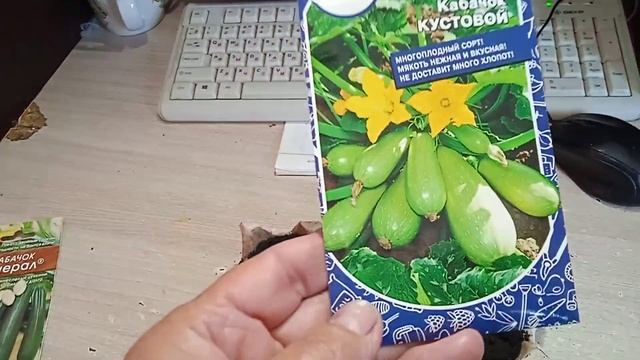 Как сею на Рассаду Кабачки сорта: ГЕНЕРАЛ и КУСТОВЫЕ для Открытого Грунта!!! 17.5.24г. смотреть онлайн