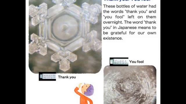 Dr. Len Horowitz on Spirituality, Water and DNA | in5d.com смотреть онлайн