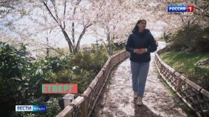 Какая погода будет в Крыму