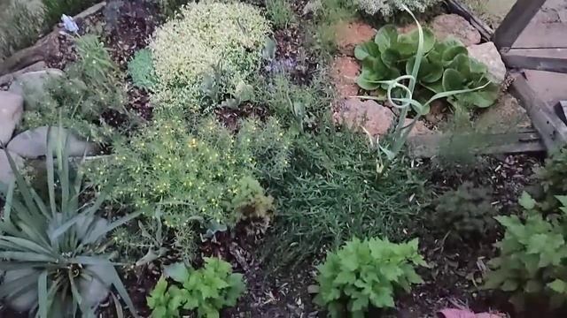 Любушкино это кусочек деревенской жизни в мегаполисе смотреть онлайн