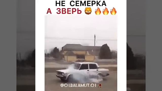 Царь зверей смотреть онлайн