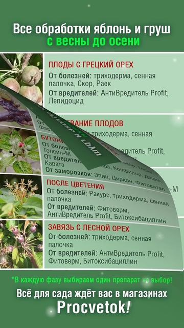 Большой здоровый урожай яблок и груш гарантирован! Сохраняйте в закладки! смотреть онлайн