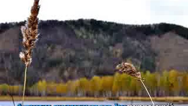 Aga nyutag смотреть онлайн