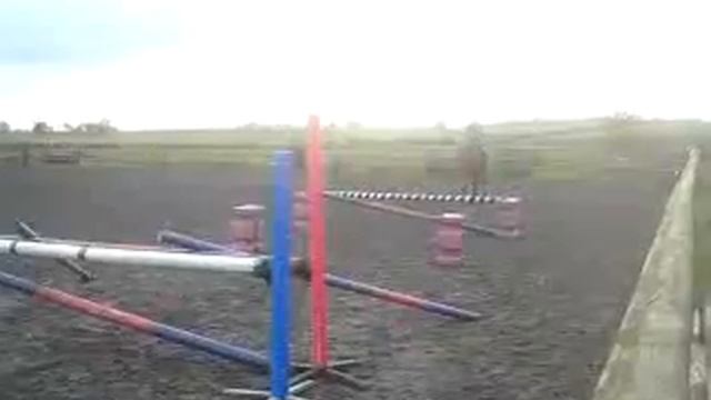 Clever Pony Pings 01 смотреть онлайн