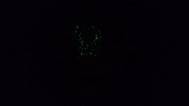 (Клевер флипер) тяпка флипер смотреть онлайн