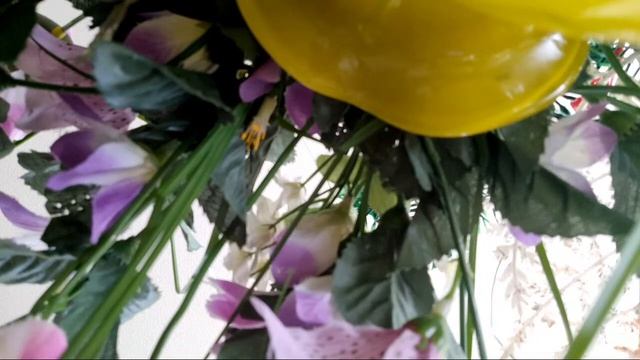 EZOYINDA PAPA EVI ASOLOLI NA MİRE KUNA 300 YE AZOBIMISA 1500 EURO смотреть онлайн