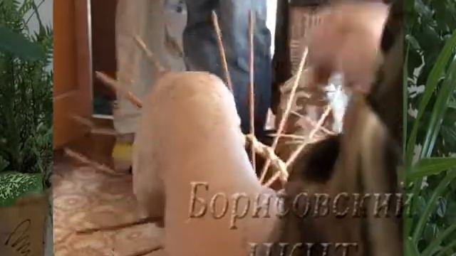 Борисовка,которую мы помним о предприятиях, кототрых уже нет РАЙПРПОМКОМБИНАТ мебельная фабрика, ц смотреть онлайн
