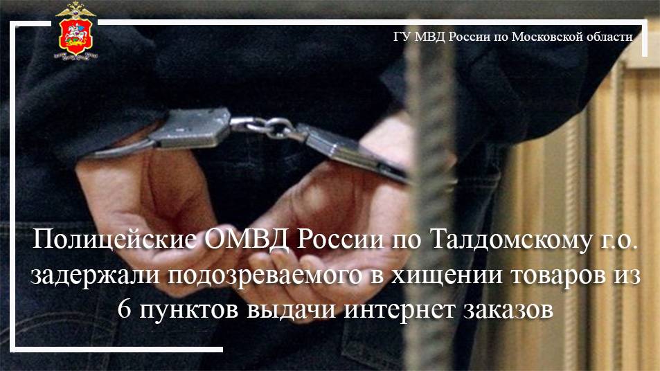 Полицейские ОМВД России по Талдомскому г.о. задержали подозреваемого в хищении товаров из 6 пунктов смотреть онлайн
