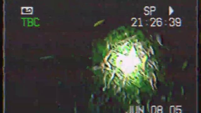 vhs_Ingen novosaurus 02 смотреть онлайн
