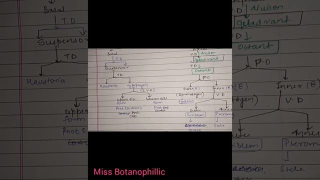 Development of Dicot Embryo|| Dicot Embryo Structure and development notes #mscbotany смотреть онлайн