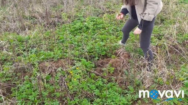 Интересный дом Сныть на обед 05.05 смотреть онлайн