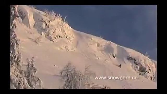 Backflip kangaroo telemark freeride jib snowporn смотреть онлайн