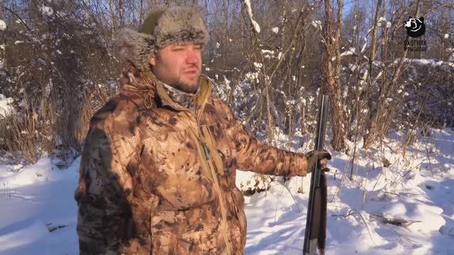 Охота на зайца с гончей. Охота по правилам смотреть онлайн