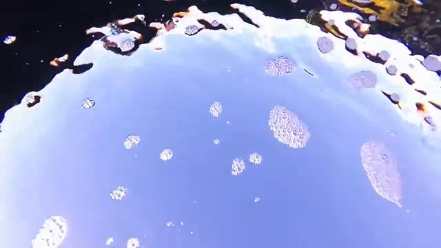 Russia Ice Edit смотреть онлайн