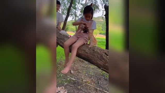 Fun with Pets🥰🥰 #viral #viralvideo #ytshorts #shorts #short #shortsfeed #funnyvideo #trendingshort смотреть онлайн