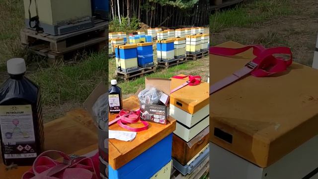 Приїхали препарати для обробки дим пушкою. смотреть онлайн