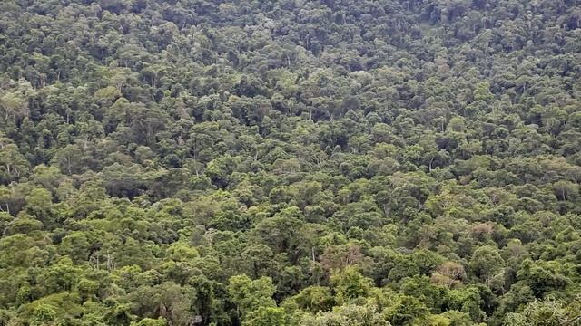 ARGENTINA, CON MI PONCHO, MI MATE Y ME CHARANGUITOOOO / Boris CHOQUET - Revolucion Charango / смотреть онлайн