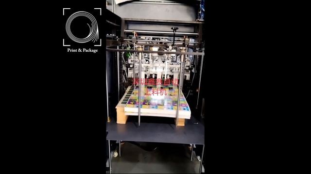 Автоподача для машины по высечки и подборки карт KS PPM 0802 смотреть онлайн