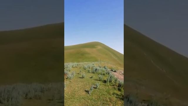 Борчинцы смотреть онлайн