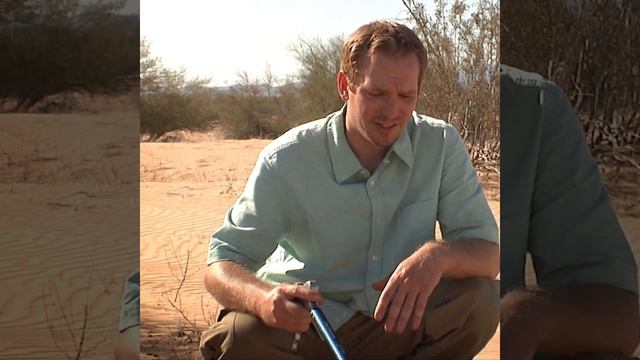 Sidewinder Rattlesnake Short 2 смотреть онлайн