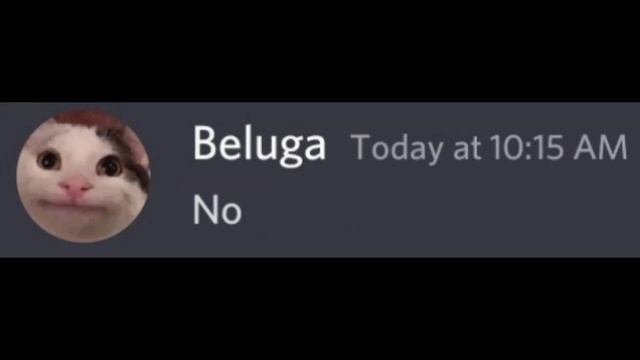 When Beluga has Hecker's photo смотреть онлайн