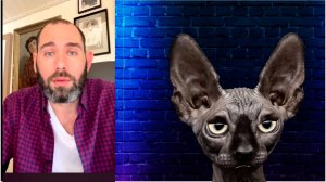 Либерасосные войска. Начало конца / Кот Костян