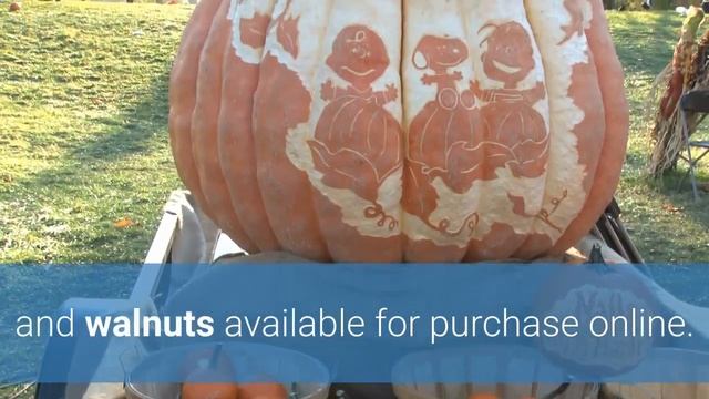 The A Positive And A Ngative Blood Type Diet смотреть онлайн