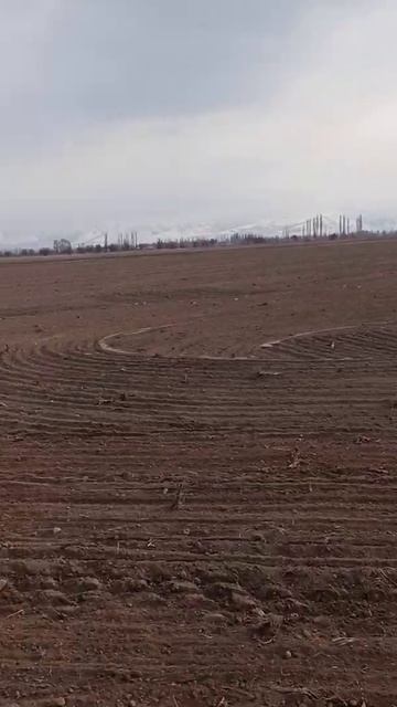 посев канадского ячменя талбот смотреть онлайн