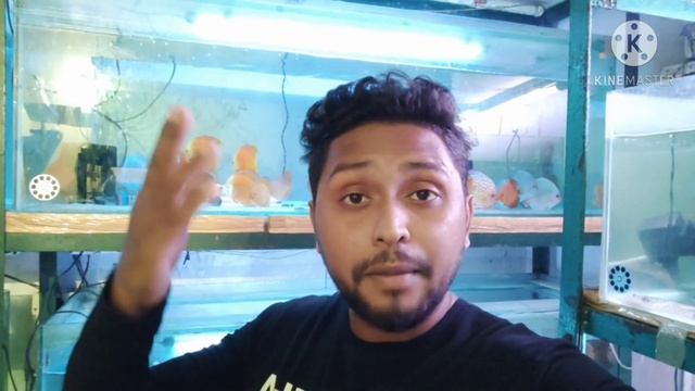 Best Tank Mates For Arowana Tank || How To Add New Fish At Arowana Tank || Dial 9836-515451 смотреть онлайн